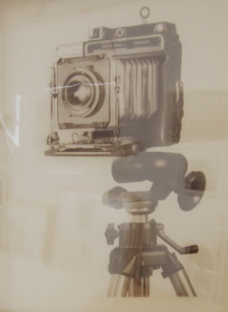 Graphlex
